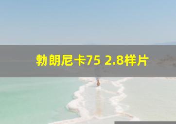 勃朗尼卡75 2.8样片